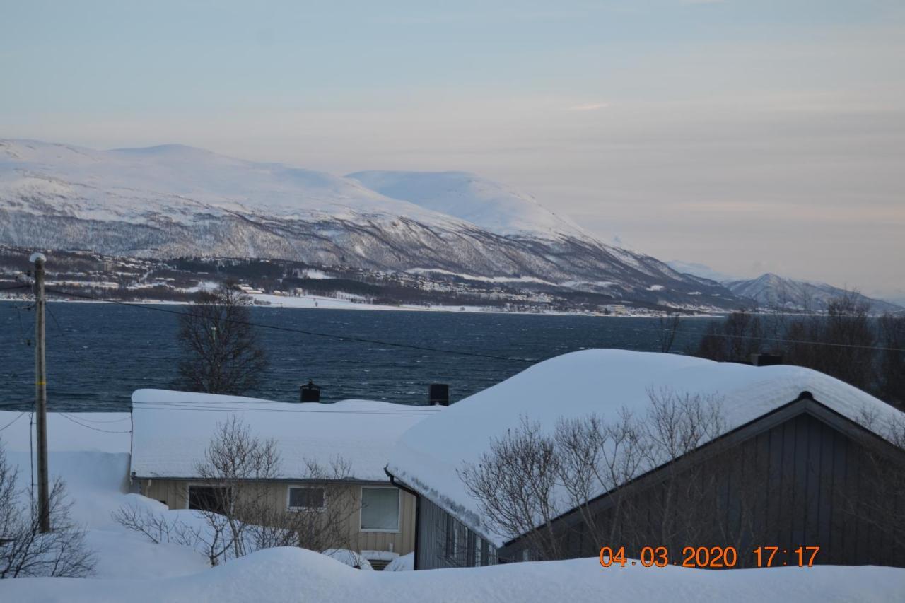 A Nice And Quiet Place Near To Trosmo City Apartman Tromsø Kültér fotó